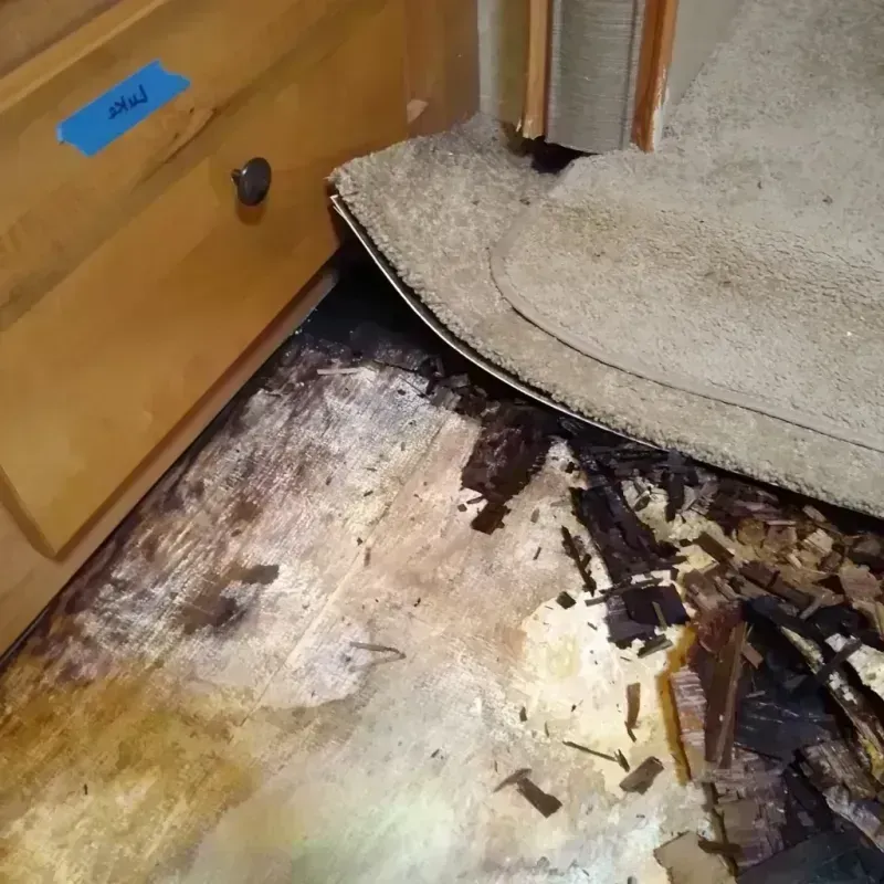 Wood Floor Water Damage in Kingman, AZ